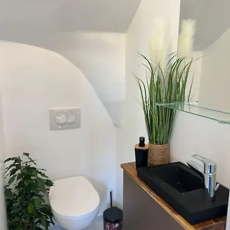 Maison Luxueuse - 15 Mins De Paris Villa